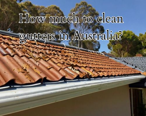 Gutter cleared with care and skill.