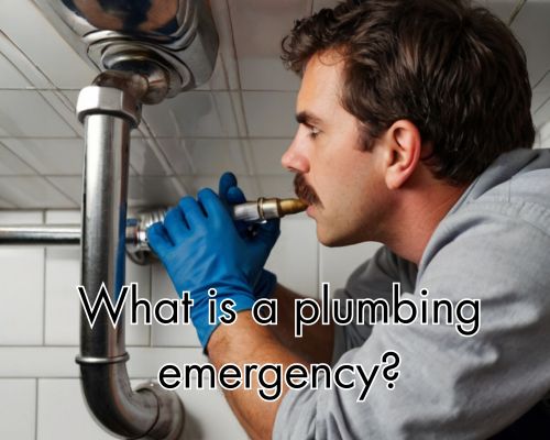 Plumbing pipes under a sink.