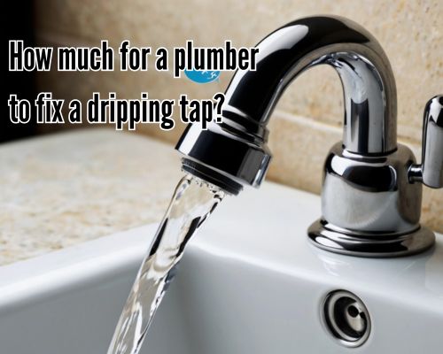 leak dripping as plumber works.